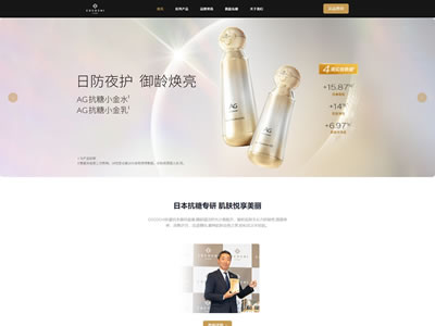 营销型网站建设