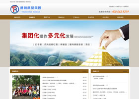 嘉兴通融商贸公司网站设计